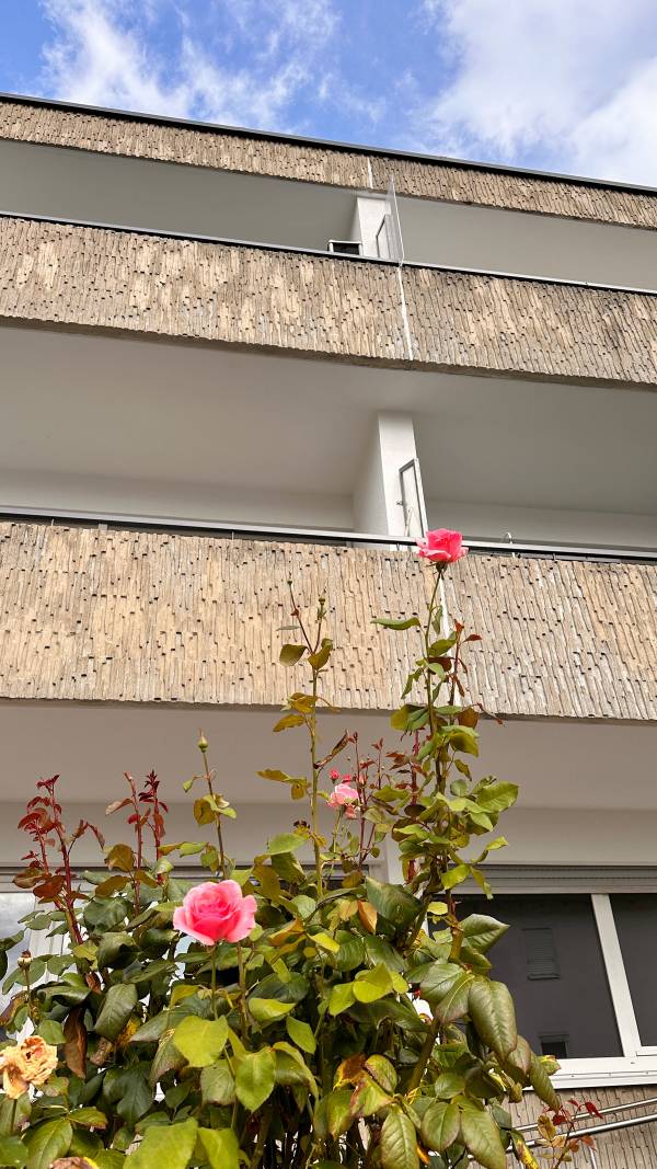 eindruecke_027_original